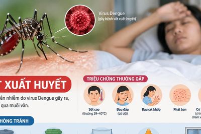 An Giang ghi nhận hơn 2.000 ổ dịch sốt xuất huyết