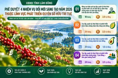 Lâm Đồng phê duyệt danh mục 4 nhiệm vụ 'đổi mới sáng tạo'