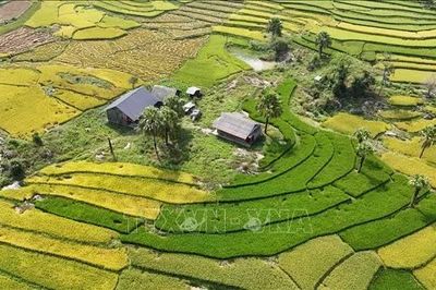 Thái Nguyên: Mùa vàng trên Bản Tèn