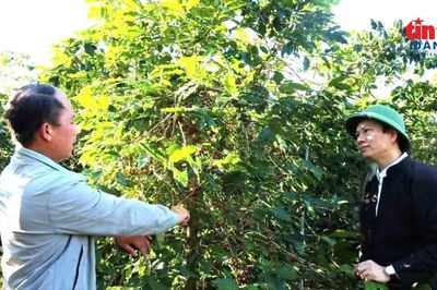 Điểm mới trong Nghị định 387 về Chương trình mục tiêu Quốc gia