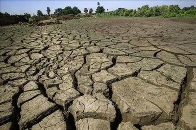Anh: Một số khu vực miền Nam ban bố tình trạng 'hạn hán nghiêm trọng'