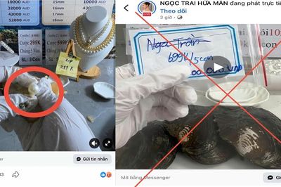 Cảnh báo thủ đoạn lừa đảo qua livestream 'mở ngọc trai'