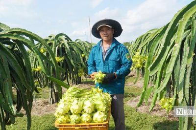 Gắn kết thương mại với du lịch biển ở Lâm Đồng, mở lối ra cho đặc sản địa phương