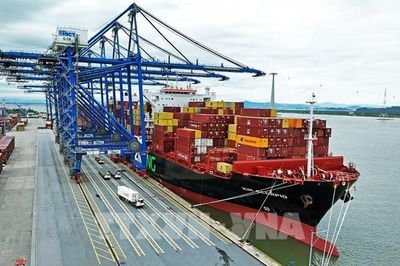 Vận tải thủy cần đúng 'dòng chảy' để kinh tế biển bứt tốc