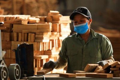 Gỡ vướng thuế GTGT cho doanh nghiệp ngành gỗ