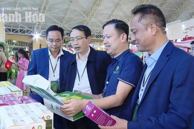 Tăng cường kết nối xúc tiến thương mại, mở rộng thị trường