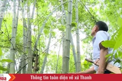 Mạch sống xanh của miền Tây xứ Thanh