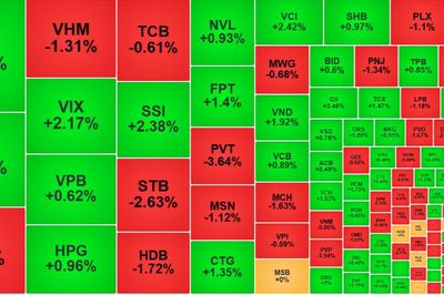 VN-Index 'cố thủ' mốc 1700, thị trường phân hóa tốt, thanh khoản cải thiện