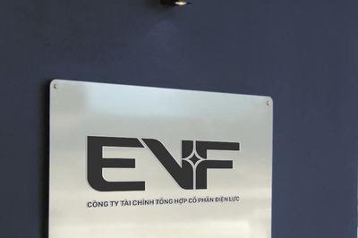 Nhiều nhà đầu tư lớn quan tâm đến cổ phiếu EVF sắp phát hành riêng lẻ