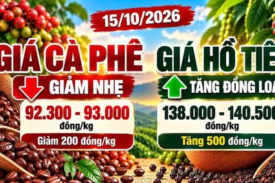 Giá cà phê, hồ tiêu hôm nay 15/10: Cà phê giảm, hồ tiêu đồng loạt tăng