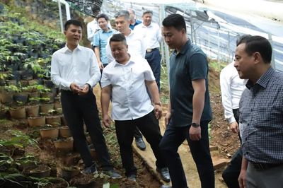 Phó Chủ tịch Thường trực Ủy ban MTTQ Việt Nam tỉnh Hà Đức Minh thăm các mô hình kinh tế, du lịch tại Mù Cang Chải