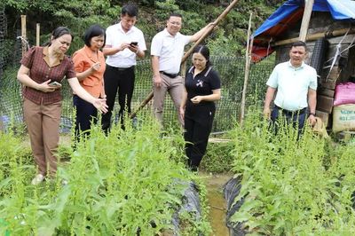 Cần thận trọng khi mở rộng diện tích một số giống cây trồng mới