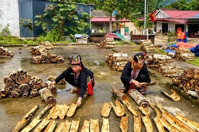 Đưa nghị quyết vào cuộc sống từ lợi thế địa phương