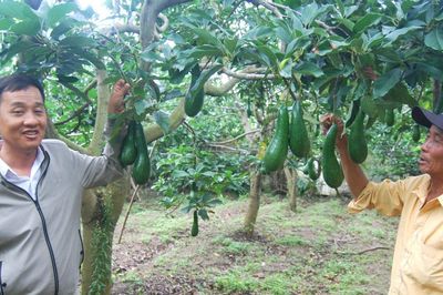 Kiểm soát chất lượng ngay khâu sản xuất