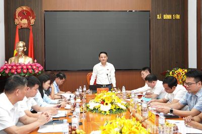 Đoàn đại biểu Quốc hội tỉnh khảo sát tình tình thực hiện nhiệm vụ phát triển kinh tế - xã hội năm 2026 tại xã Bình Sơn