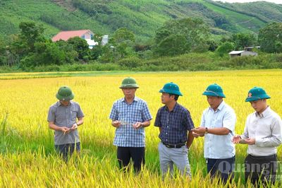 Tạo nền tảng phát triển
