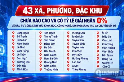 Phê bình 43 địa phương về đầu tư công lĩnh vực khoa học, công nghệ, đổi mới sáng tạo và chuyển đổi số