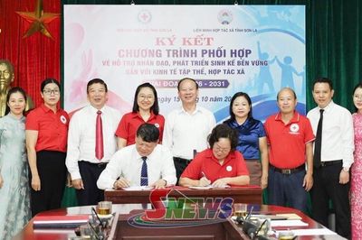 Ký kết phối hợp hỗ trợ nhân đạo, phát triển sinh kế gắn với kinh tế tập thể giai đoạn 2026-2031