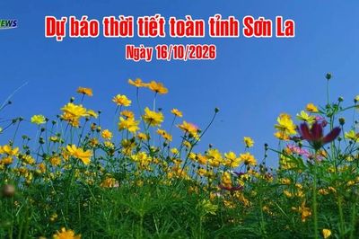 Dự báo thời tiết toàn tỉnh Sơn La ngày 16/10/2026