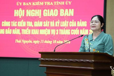Đẩy nhanh tiến độ, hoàn thành 100% chương trình kiểm tra, giám sát năm 2026