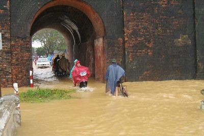 Mới lụt xong đã phải cứu trợ là sao?!