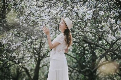 Vườn hoa mận nở trái mùa ở Sơn La thu hút du khách