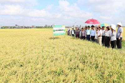 Xã 2.500ha ở Hưng Yên hướng tới đạt chuẩn nông thôn mới hiện đại trước năm 2035