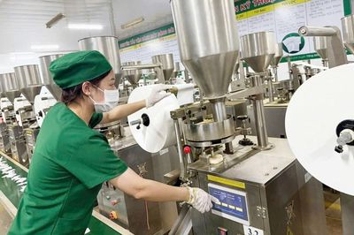 Doanh nhân đảng viên: Bình đẳng trong kinh doanh, nêu gương về trách nhiệm