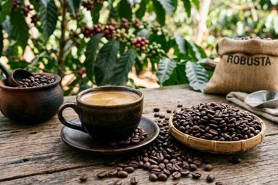 Ngày 15/10: Giá cà phê quay đầu giảm, hồ tiêu neo ở mức cao