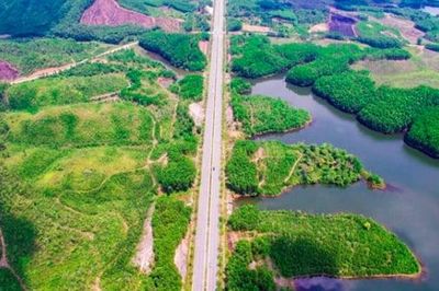 Đà Nẵng chấp thuận dự án hạ tầng khu chức năng 154ha tại FTZ, vốn hơn 3.354 tỷ đồng