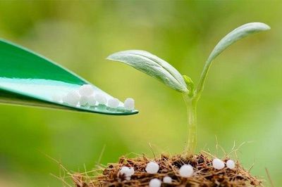 Đề xuất đưa thuế xuất khẩu phân bón về 0%: Doanh nghiệp nào hưởng lợi?