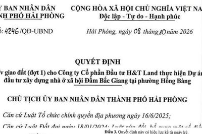 Hải Phòng: Giao hơn 49.000m2 đất cho Công ty Cổ phần Đầu tư H&T Land để xây nhà ở xã hội