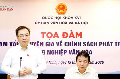 Tham vấn chuyên gia về chính sách phát triển công nghiệp văn hóa