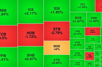 VN-Index mất mốc 1.700 điểm, cổ phiếu chứng khoán hồi phục