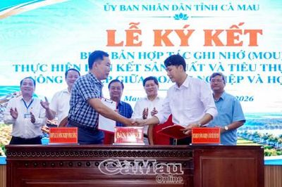 'Hạt nhân' tiến tới nền nông nghiệp thông minh, hiện đại