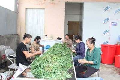 Kinh tế bạc: Cơ hội và thách thức từ làn sóng già hóa dân số
