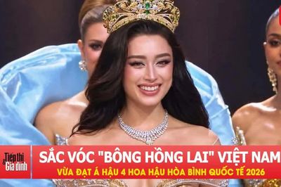 Sắc vóc 'bông hồng lai' Việt Nam vừa đạt Á hậu 4 Hoa hậu Hòa bình Quốc tế 2026