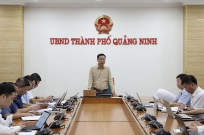 Điện gió Quảng Ninh tháo gỡ vướng mắc, bám tiến độ Quy hoạch điện VIII