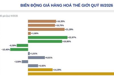 Làn sóng đầu tư mới đổ vào thị trường hàng hóa Việt Nam