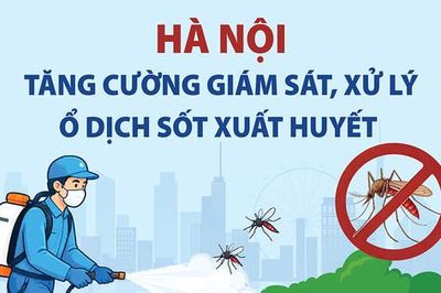 Hà Nội tăng cường giám sát, xử lý ổ dịch sốt xuất huyết