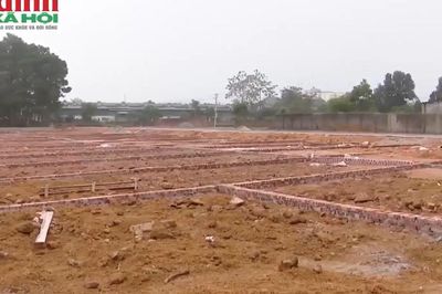 Bộ Nông nghiệp và Môi trường giải đáp điều kiện tách thửa đất khi chia thừa kế