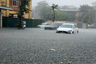 Nghệ An đẩy nhanh xử lý ngập úng đô thị