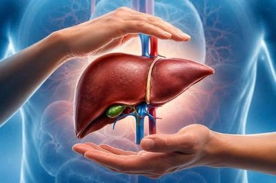 Bộ phận nào của cơ thể có thể tự tái tạo sau tổn thương?