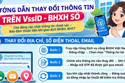 Hướng dẫn thay đổi thông tin trên VssID - BHXH số