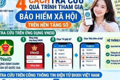 Hướng dẫn 4 cách tra cứu quá trình tham gia BHXH