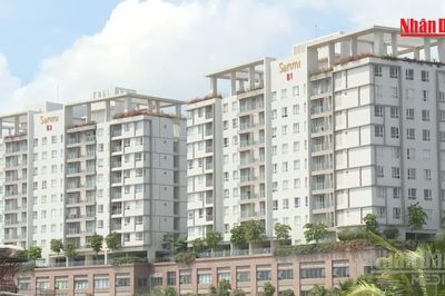 [Video] Ngày 2/11 là hạn chót để chủ căn hộ chung cư nộp thuế sử dụng đất phi nông nghiệp
