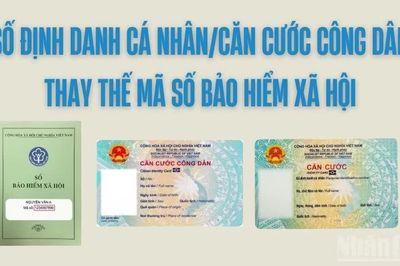 Chuyển đổi thành công cho hơn 101 triệu người từ mã số bảo hiểm xã hội sang số định danh cá nhân, căn cước công dân