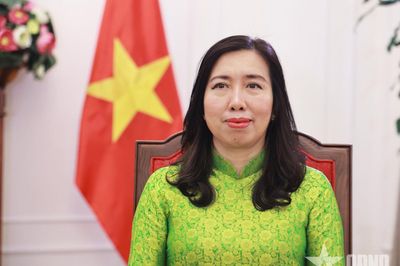 Cơ hội để Việt Nam với Đan Mạch, EU và Bỉ nâng tầm toàn diện quan hệ