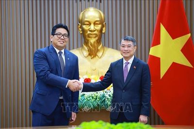 Thủ tướng Lê Minh Hưng tiếp Chủ tịch Tập đoàn Dầu khí quốc gia Malaysia