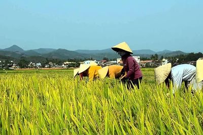 Đề xuất mở rộng diện hỗ trợ bảo hiểm y tế cho hộ nông dân